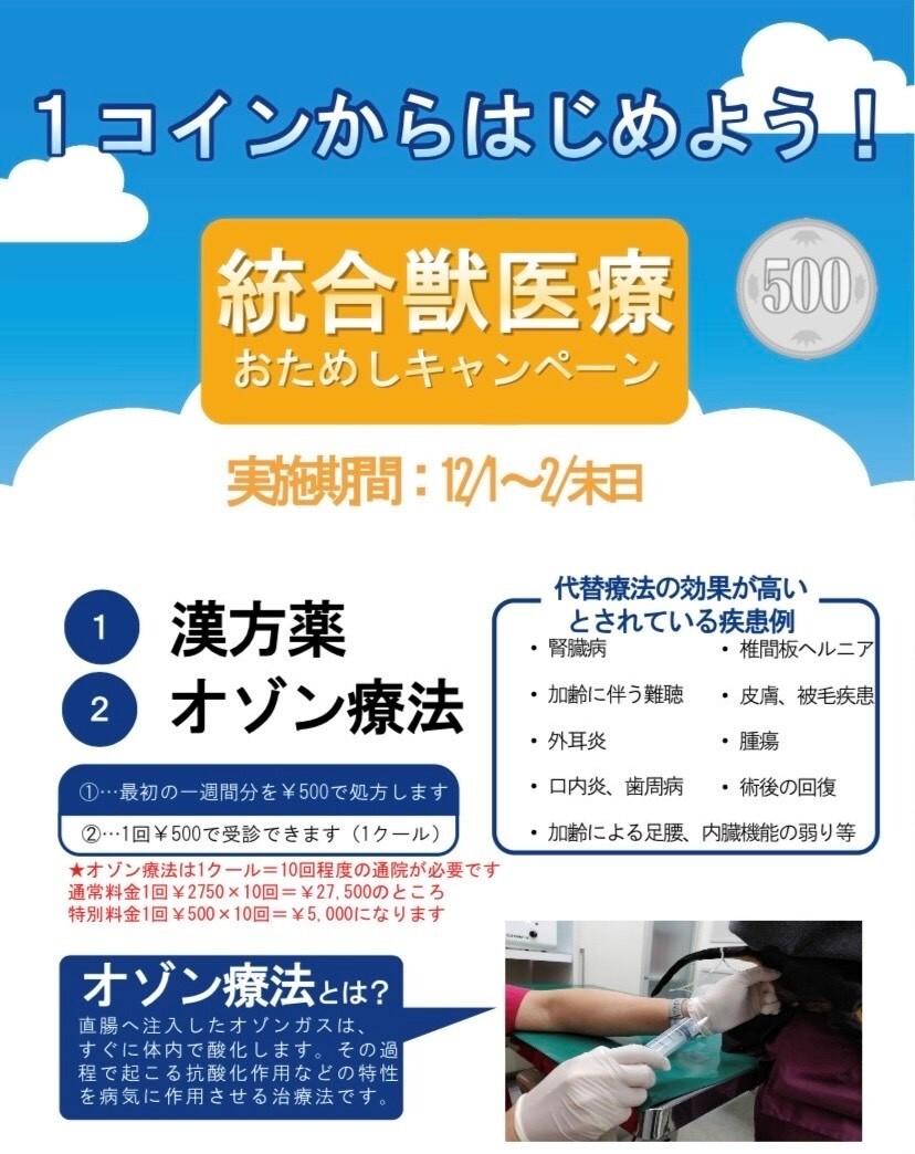 おためしキャンペーン