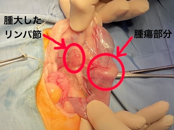 202609症例報告①